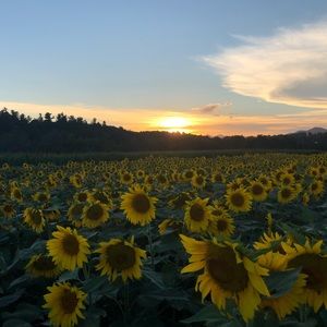 Meet your Posher, Kelsey